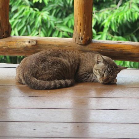 Koh Tao Seaview Resort Exterior photo