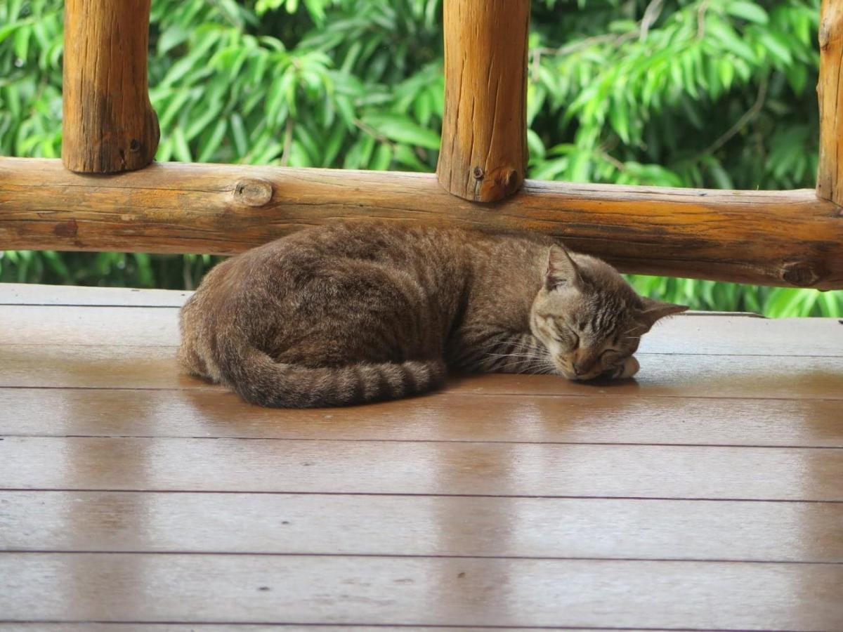 Koh Tao Seaview Resort Exterior photo